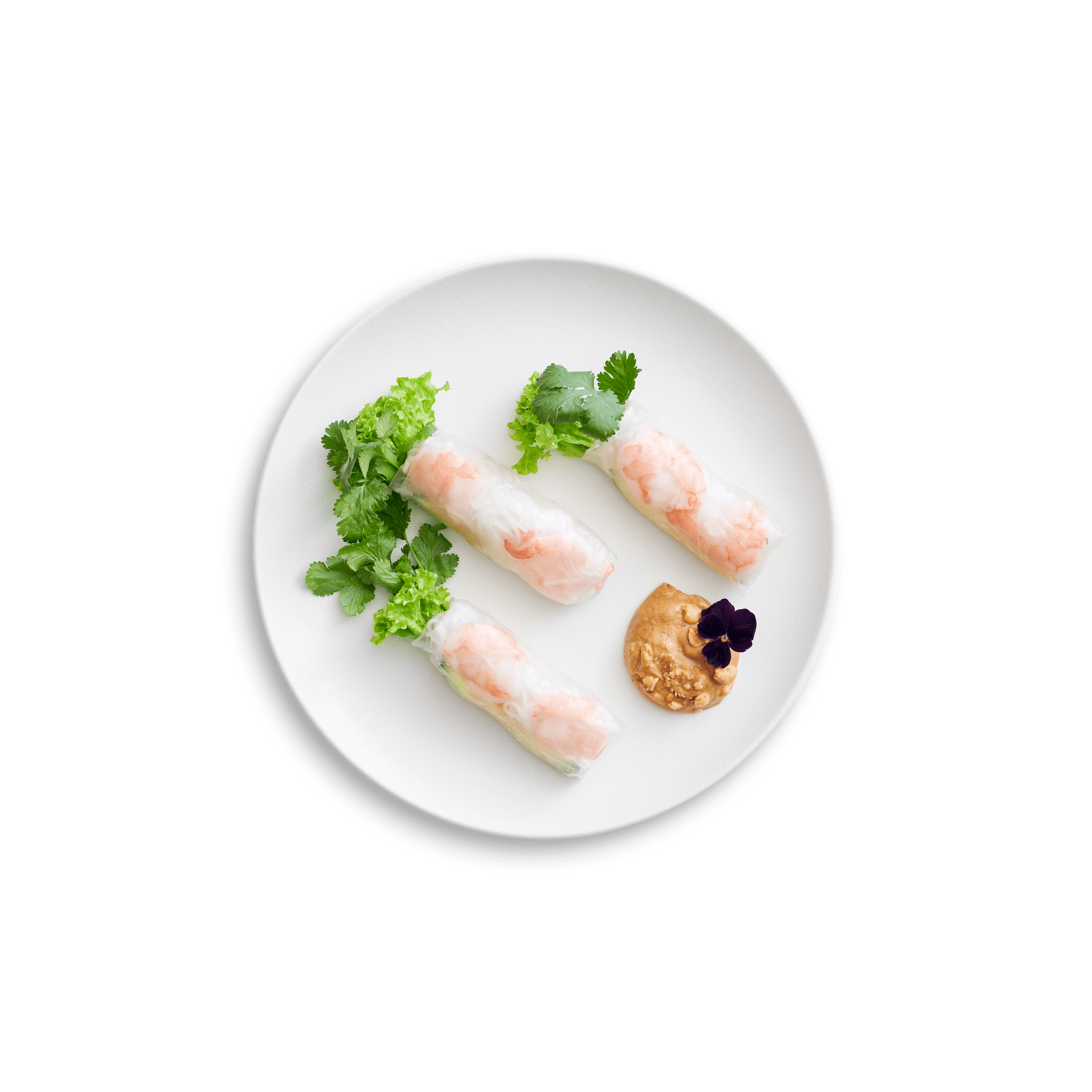 Vi Việt Sommerruller