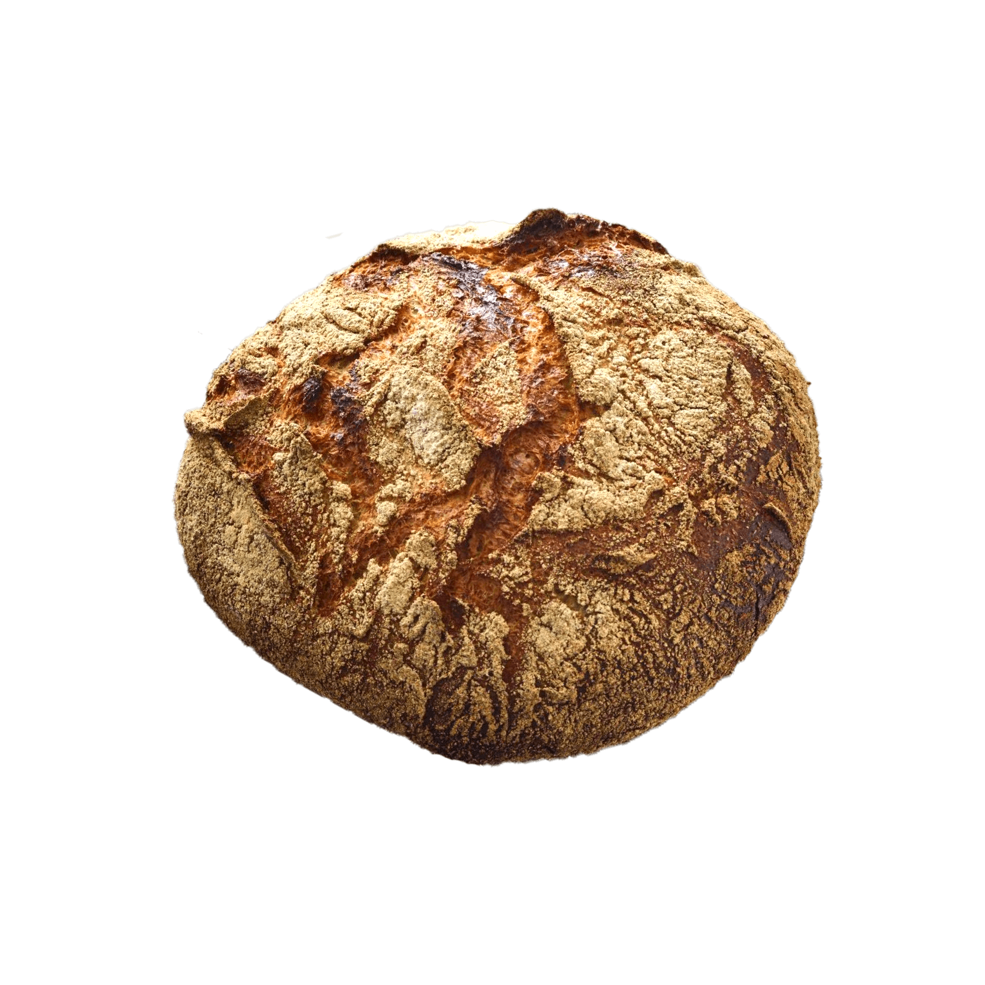 Øko Nørrebro brød