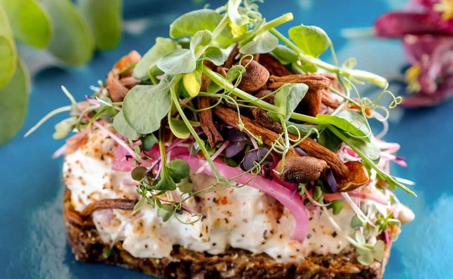 Gourmet Kyllingesalat m. sprødstegte svampe